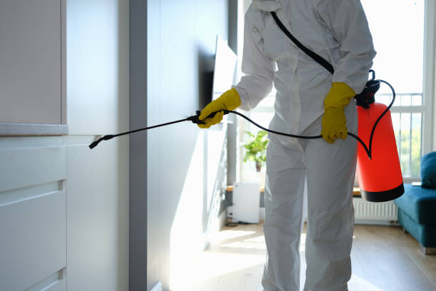 Best Commercial Mold Removal  in Lochbuie, CO