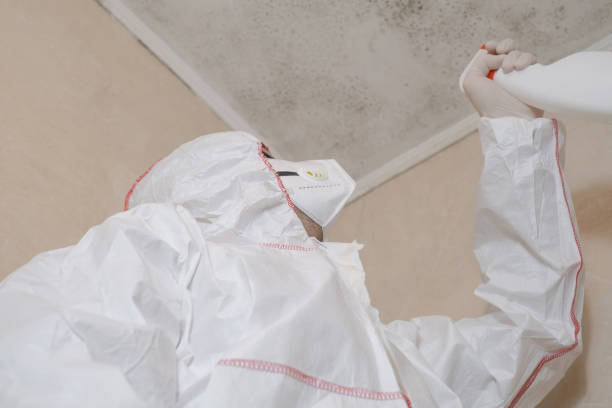 Best Office Mold Removal Services  in Lochbuie, CO