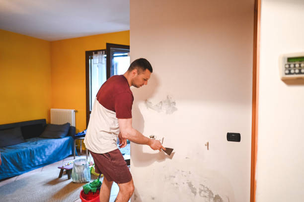 Best Mold Remediation Experts  in Lochbuie, CO